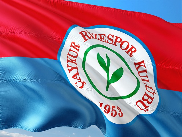 湖北女足历史首次闯入全运会决赛，王霜哭着感叹：太不容易了